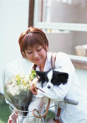 販売が気になる愛犬用ドッグフード